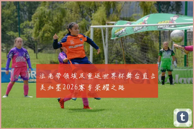 法老带领埃及重返世界杯舞台直击美加墨2026赛季荣耀之路