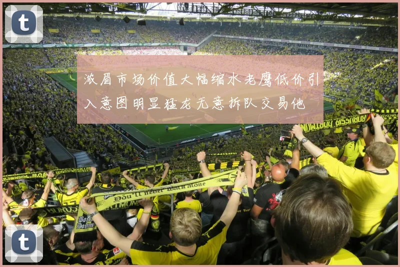 浓眉市场价值大幅缩水老鹰低价引入意图明显猛龙无意拆队交易他