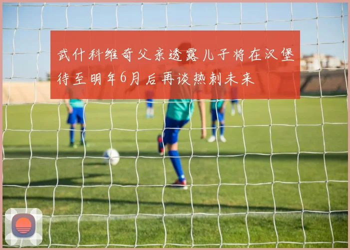 武什科维奇父亲透露儿子将在汉堡待至明年6月后再谈热刺未来