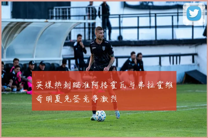 英媒热刺瞄准阿格霍瓦与弗拉霍维奇明夏免签竞争激烈