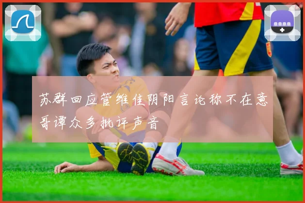 苏群回应管维佳阴阳言论称不在意哥谭众多批评声音