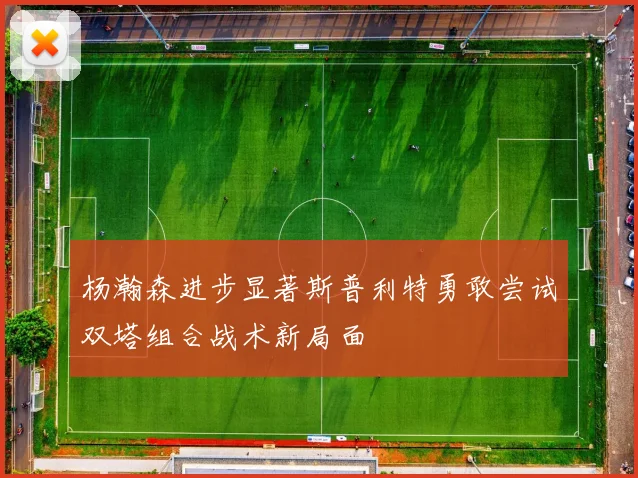杨瀚森进步显著斯普利特勇敢尝试双塔组合战术新局面
