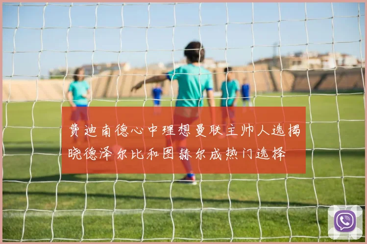 费迪南德心中理想曼联主帅人选揭晓德泽尔比和图赫尔成热门选择